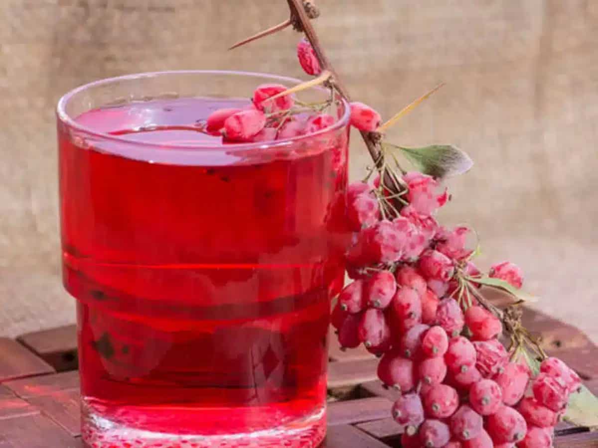 زرشک ابگیری ارگانیک با کیفیت عالی و رنگ قرمز روشن